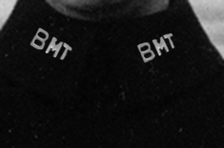 BMT on Collar copy.jpg